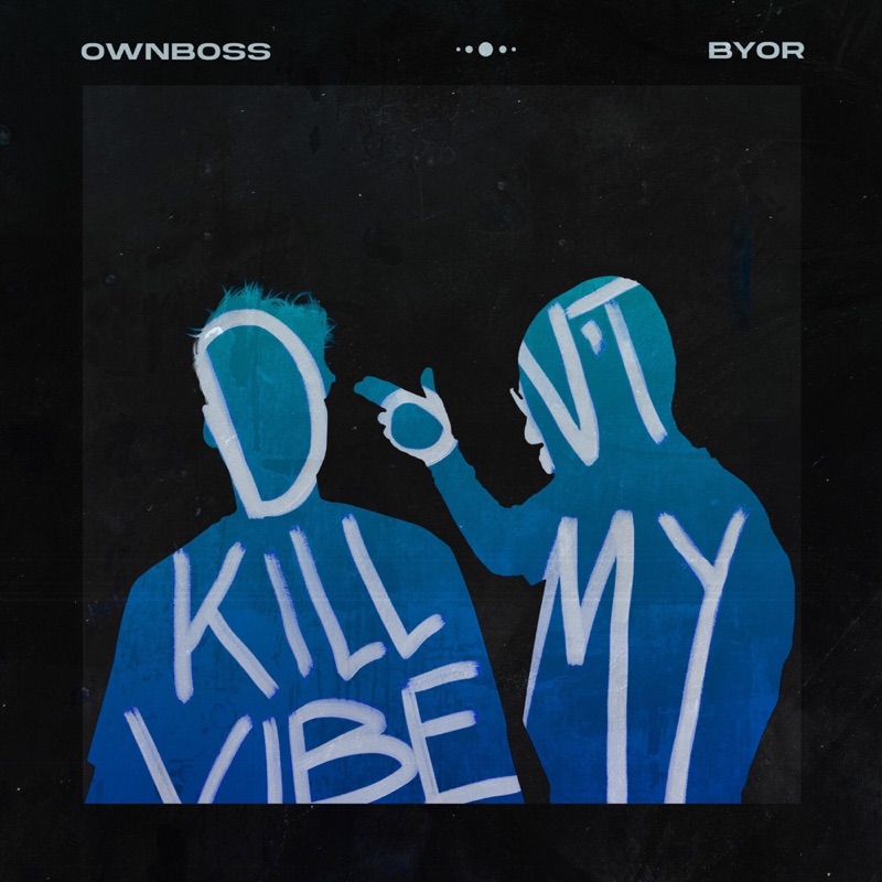 Don't Kill My Vibe artwork
